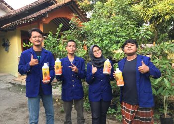 Air Limbah Lele Dan Kotoran Ayam Sebagai Pupuk Alami Tabulampot