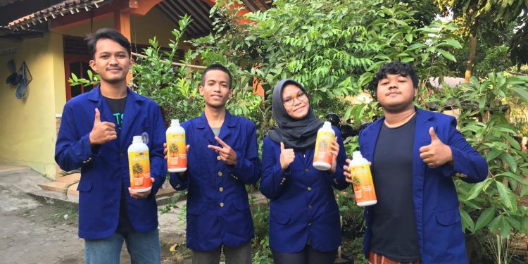 Air Limbah Lele Dan Kotoran Ayam Sebagai Pupuk Alami Tabulampot