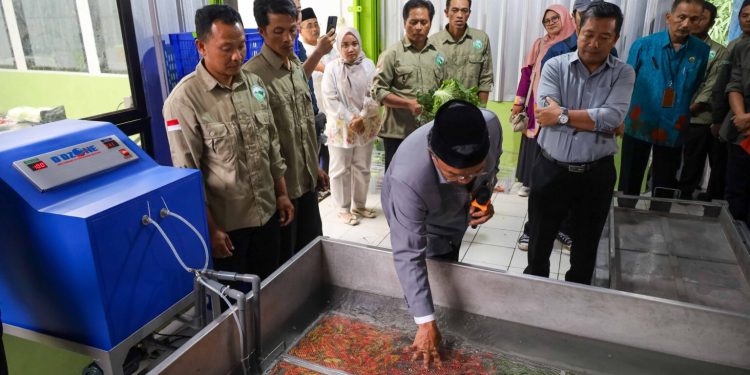 Teknologi D’Ozone Ciptaan Ilmuwan UNDIP, Bantu Petani Jaga Kualitas Sayur